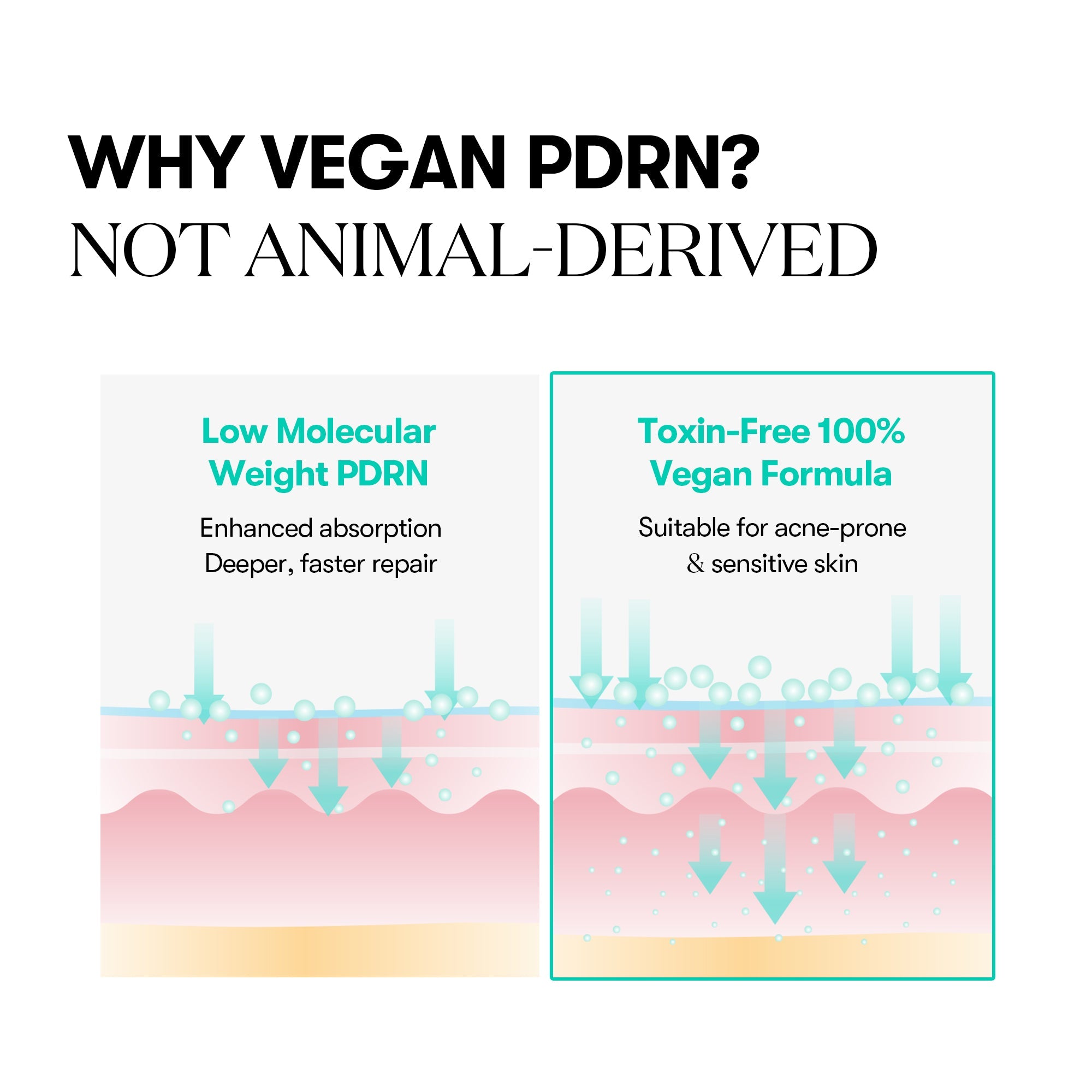 VT Cosmetics PDRN ΥΑΛΟΥΡΟΝΙΚΗ ΚΡΕΜΑ-ΚΑΨΟΥΛΑ 100 50ml
