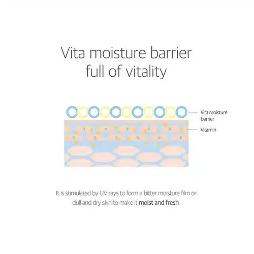Round Lab Birch Juice Moisturizing Sun Cream SPF50+ PA++++ 30ml