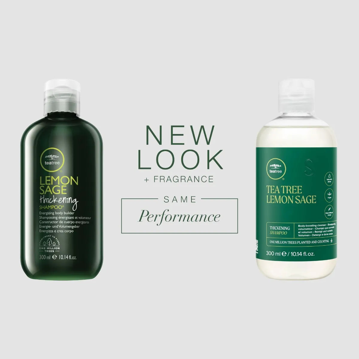 Tea Tree Lemon Sage Thickening Shampoo 300ml