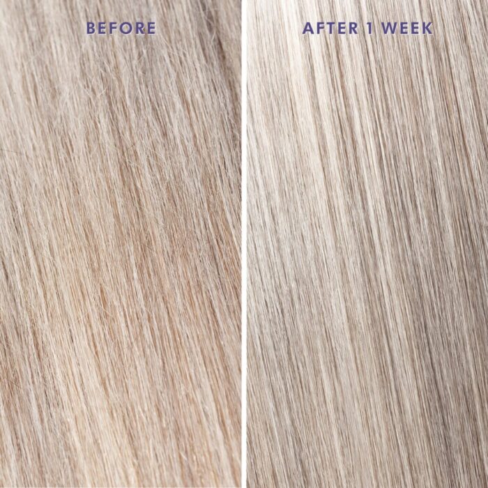 Moroccanoil Treatment Purple - Image 7