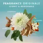 MOROCCANOIL Body Lotion Fragrance Originale 360ml - Image 3