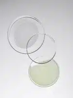 Anua Nano Retinol 0.3% Niacin Renewing Serum 30ml - Image 2