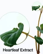 Anua Heartleaf Pore Cleansing Oil Mild 200ml - Image 3